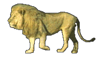 papa le lion